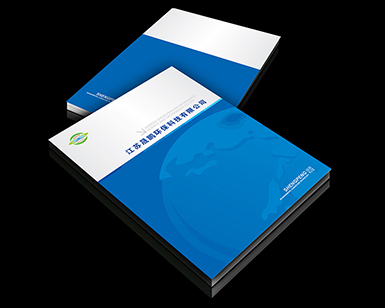 ���i����Ч��